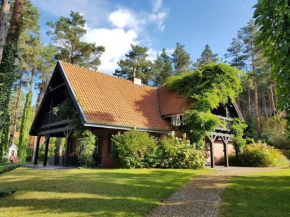 Hotels in Pluski